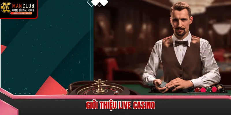 Giao diện Live Casino Manclub với hình ảnh sắc nét và dàn Dealer chuyên nghiệp nhất hiện nay